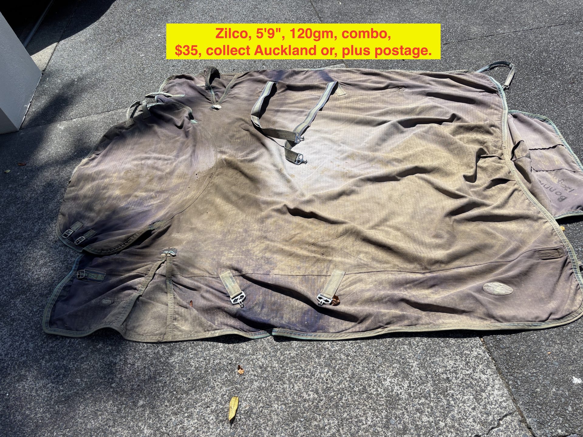 ZILCO, 120GM, MID-SEASON RUG