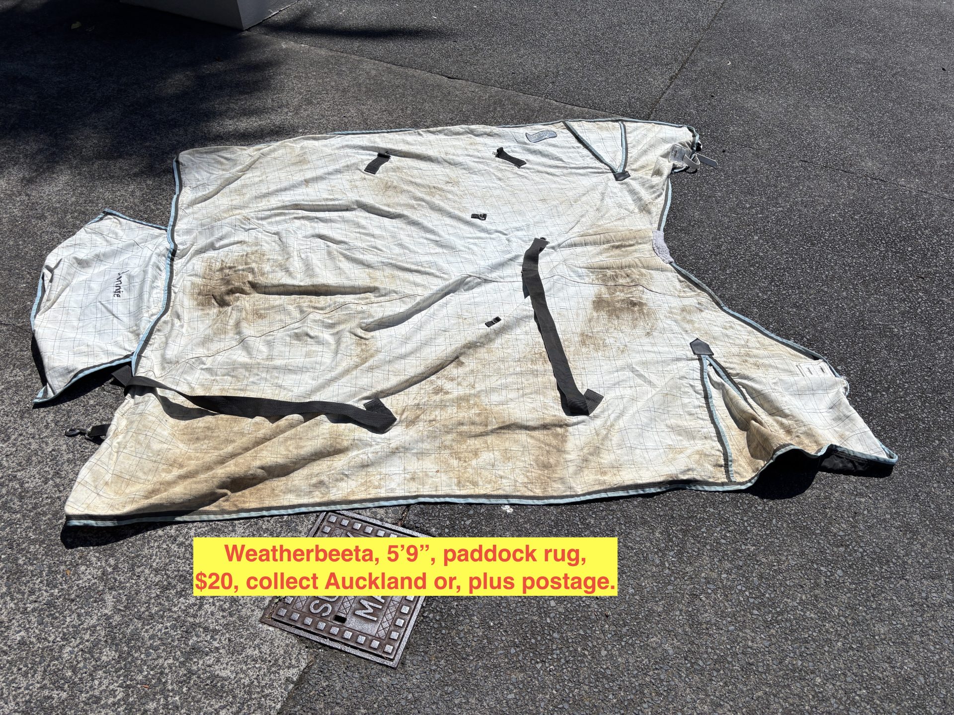 WEATHERBEETA PADDOCK RUG