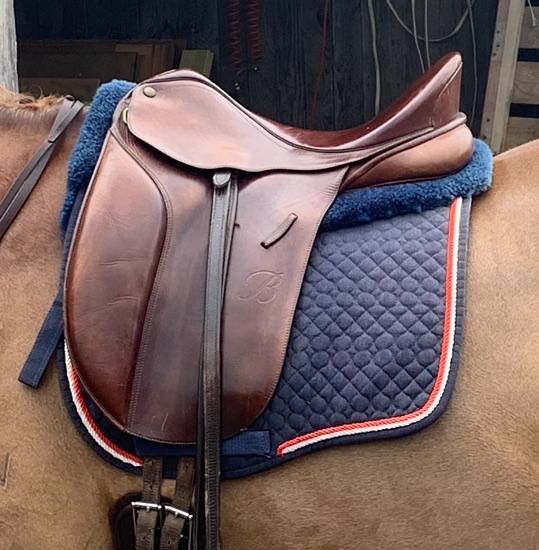 15.5inch Bates Caprilli Saddle
