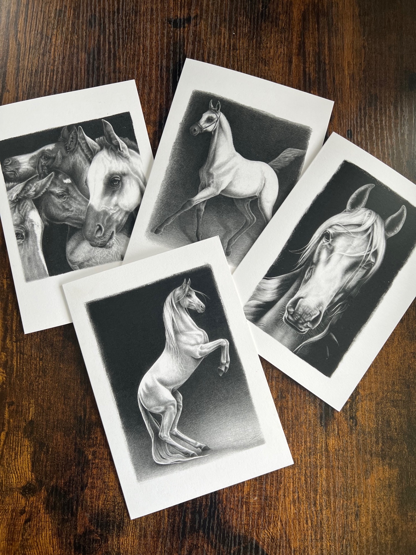 Horse Art Card Series of 4