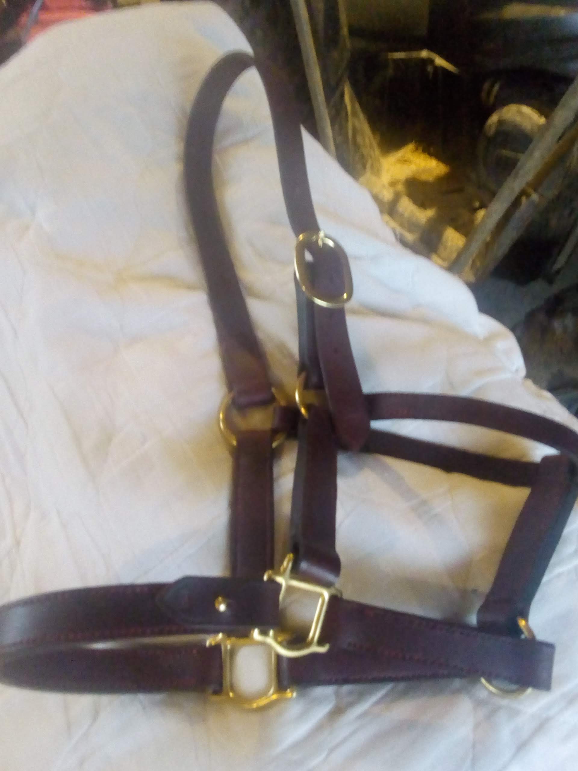 Hand stitched leather halter.