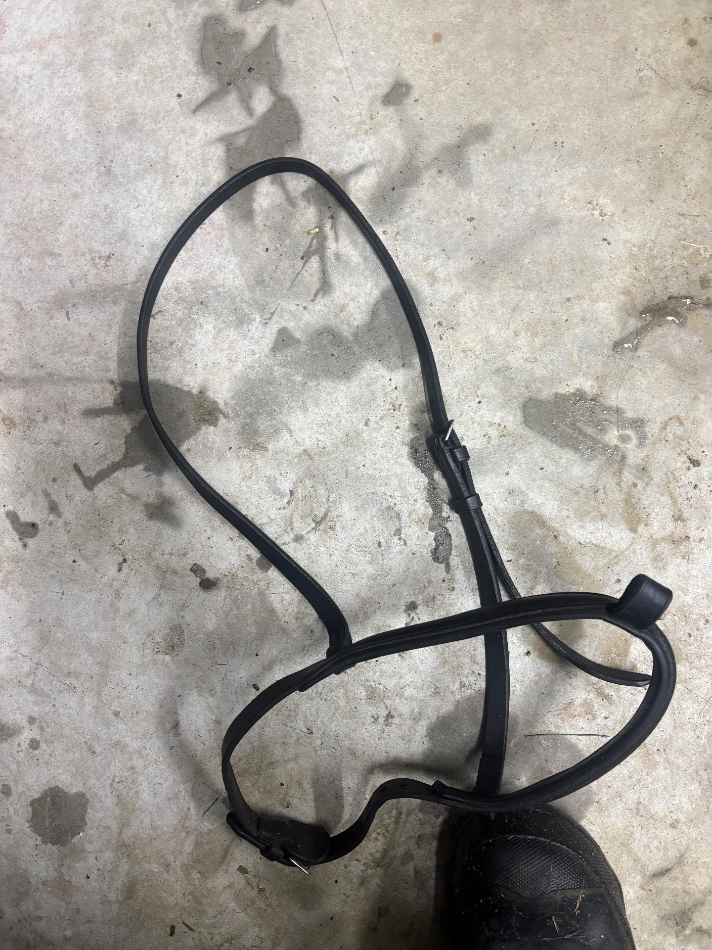 Cob/pony noseband