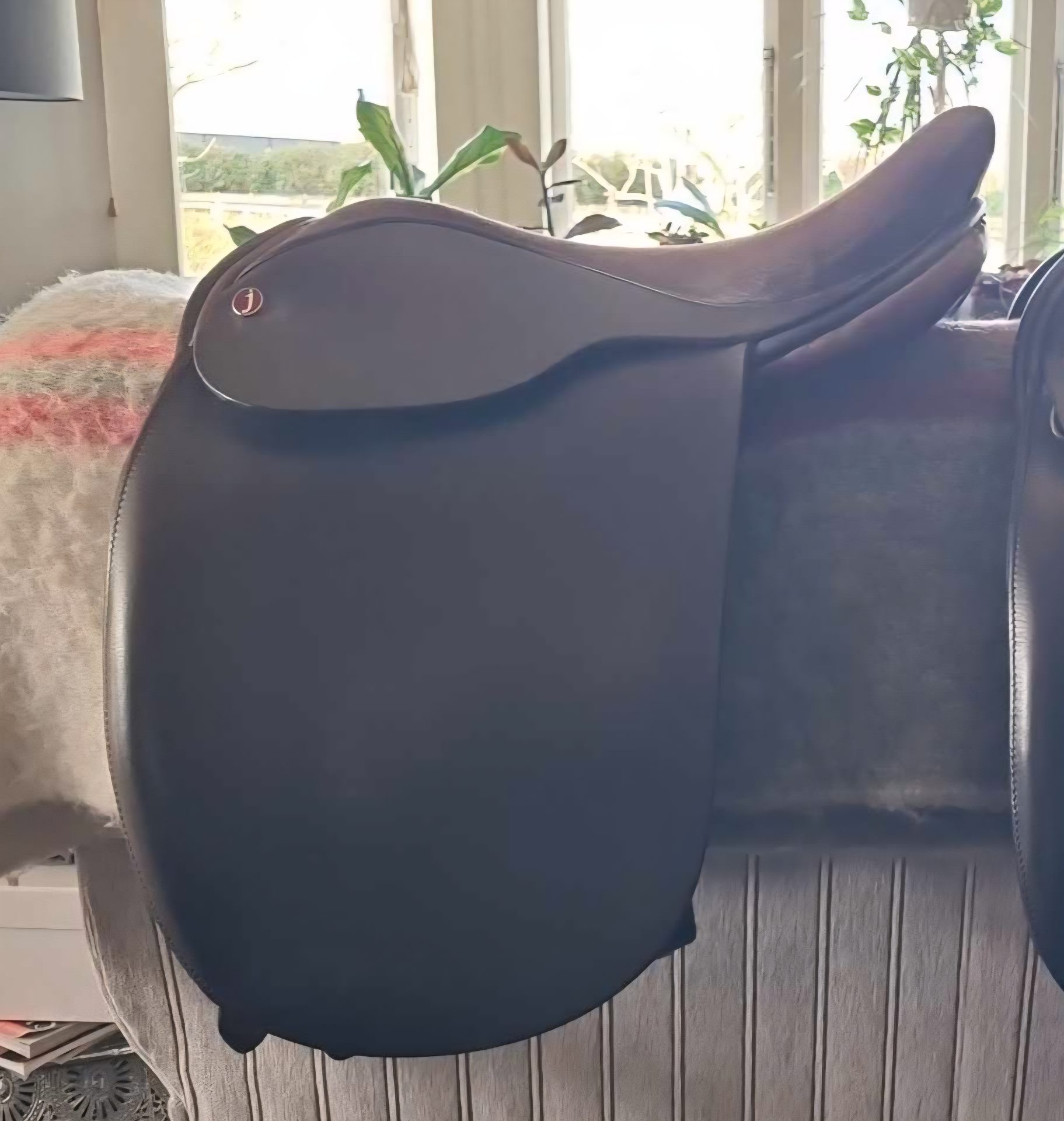 Jeffries Show saddle