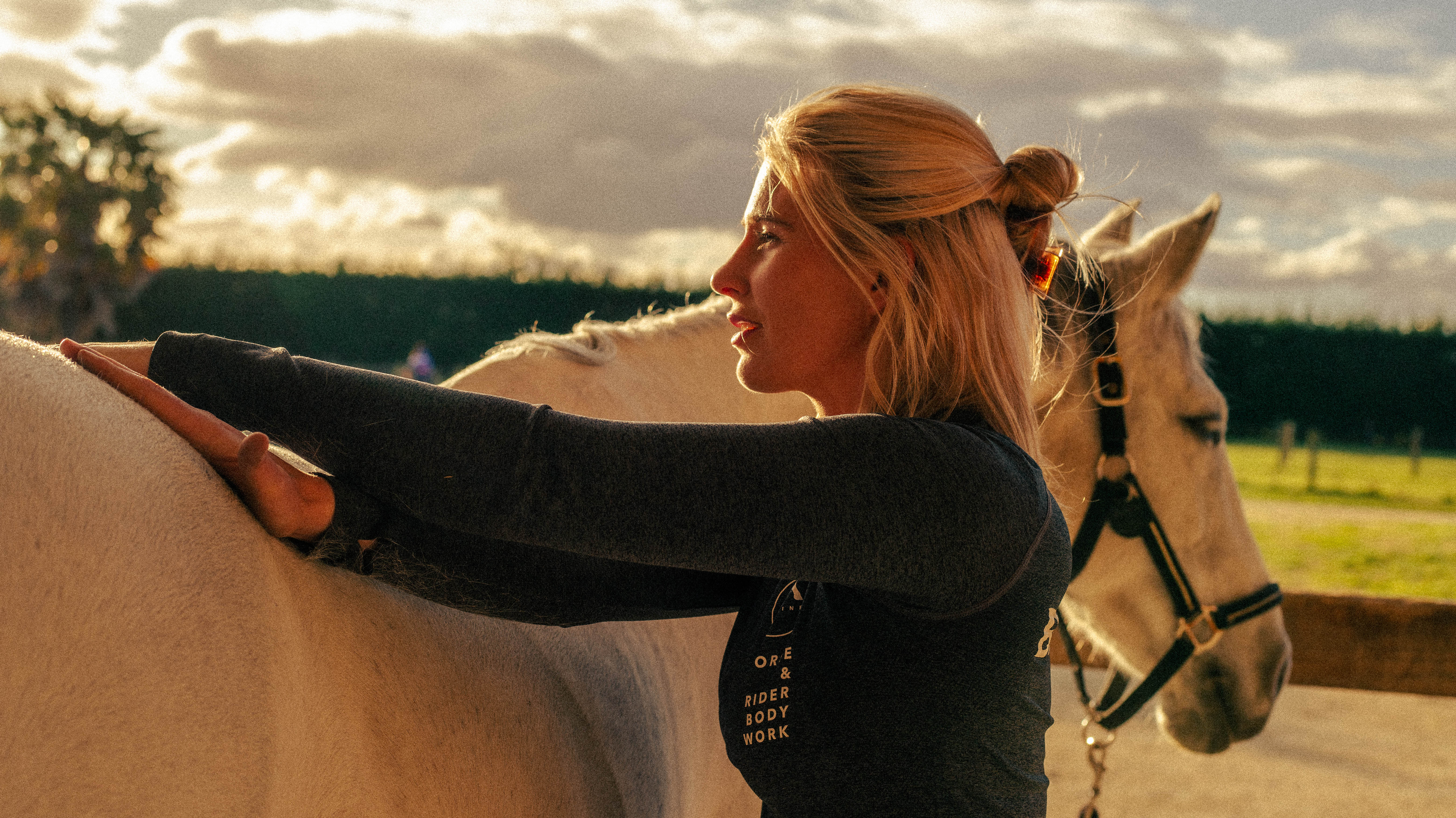 Baseline Equine