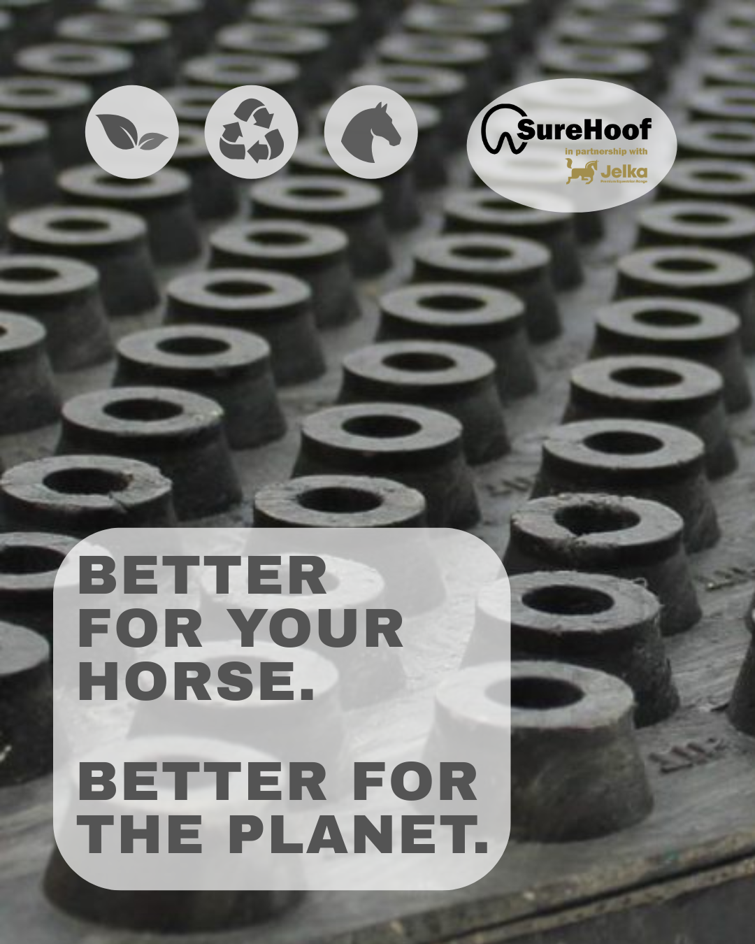 SureHoof NZ