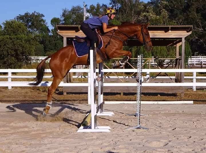 Resolve Equine NZ