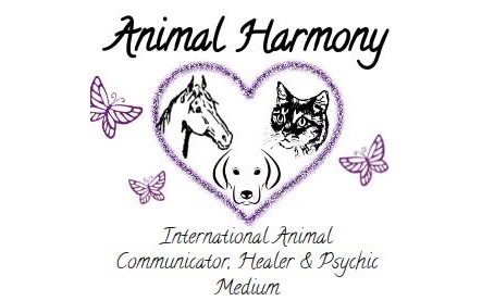 Animal Harmony - International Animal Communication & Healing
