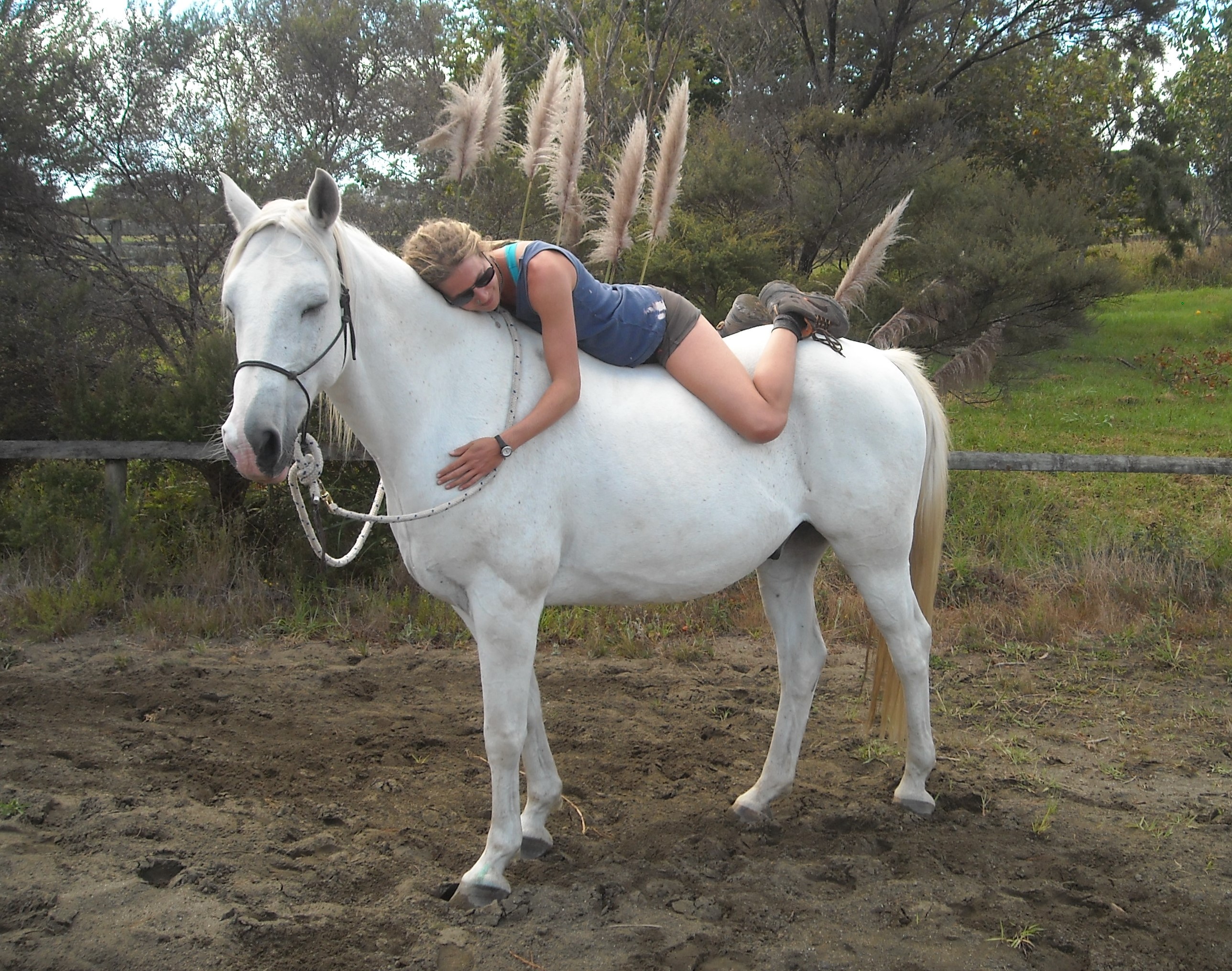 Being with Horses