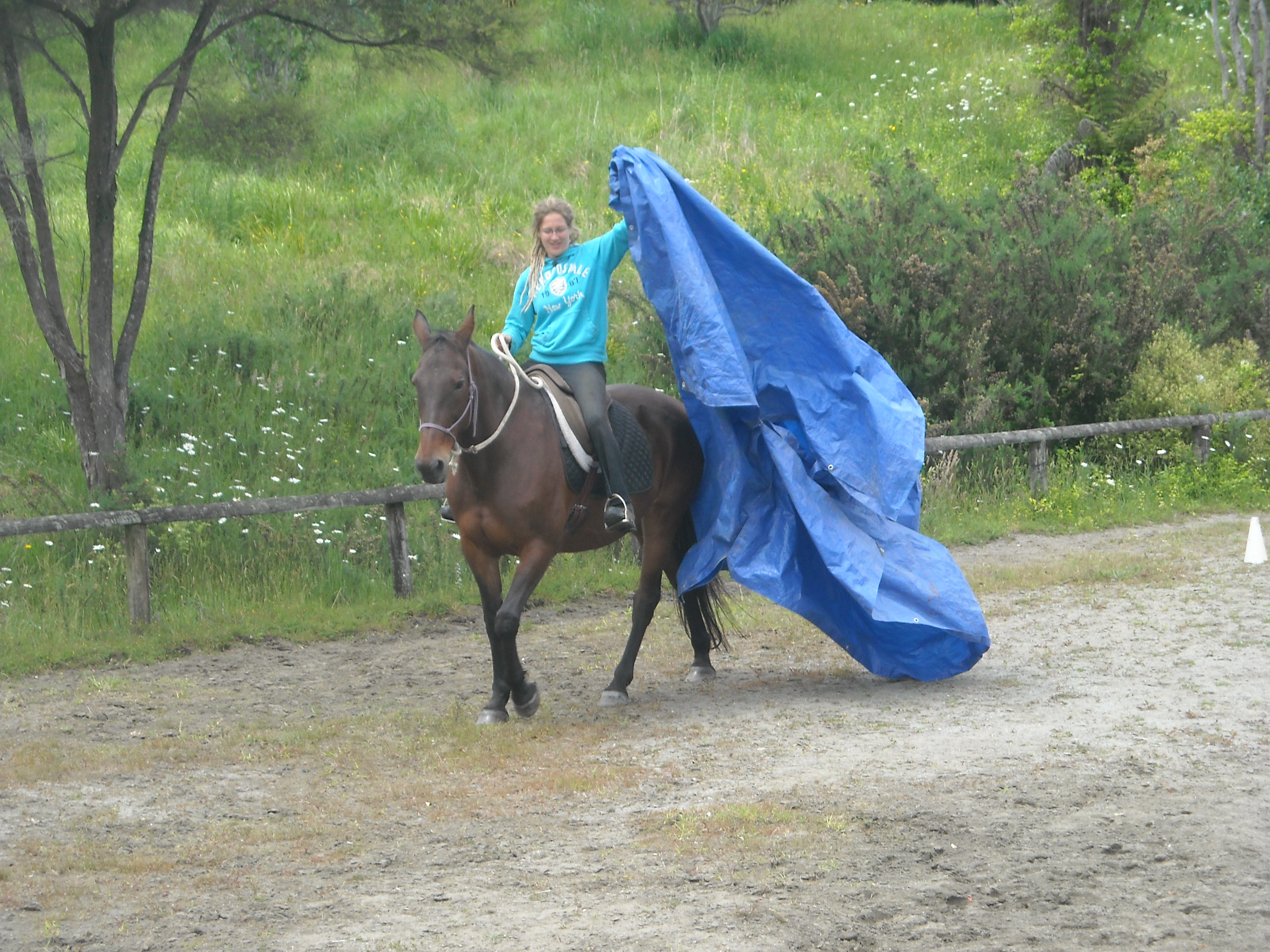 Being with Horses
