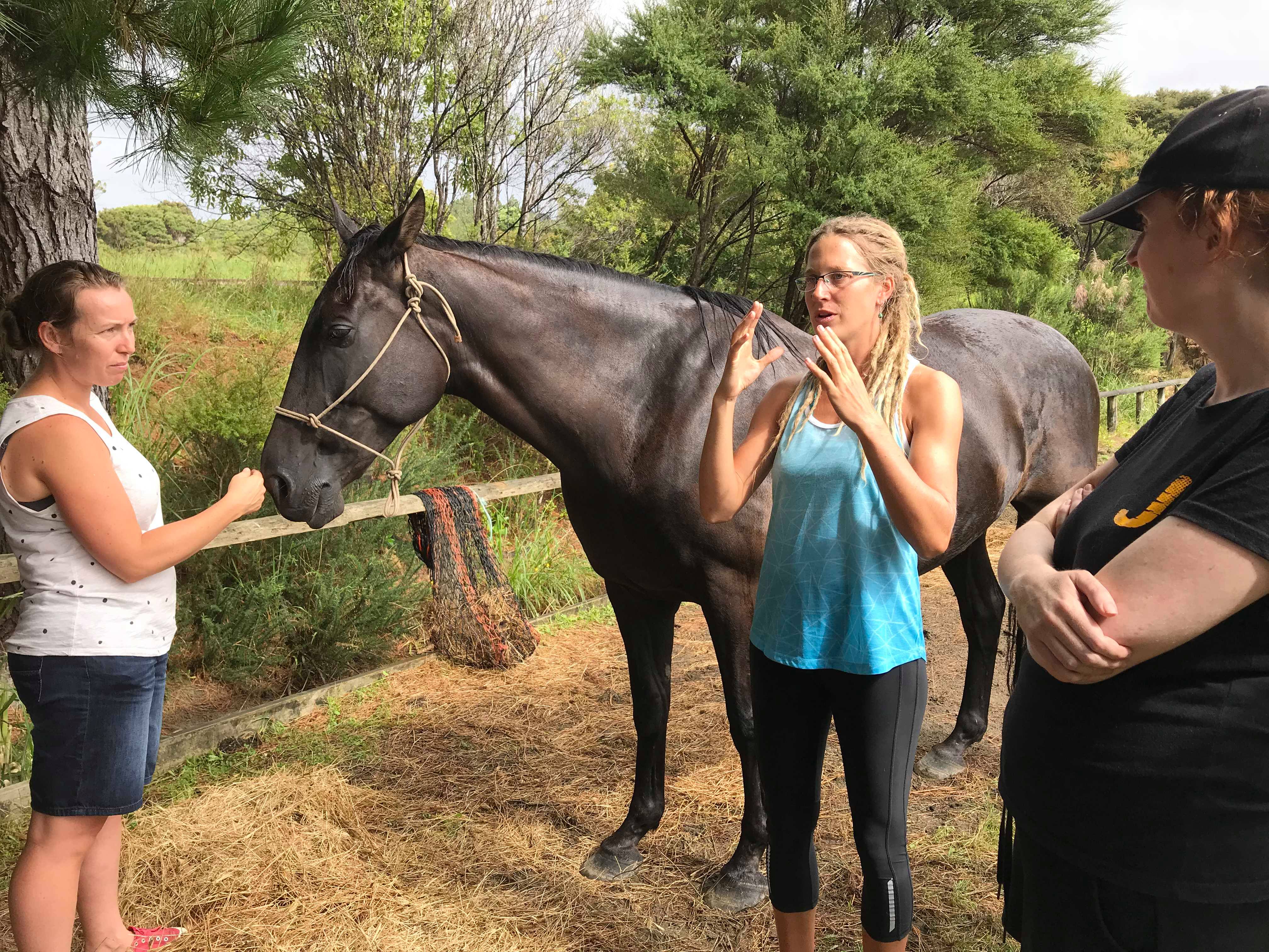 Being with Horses
