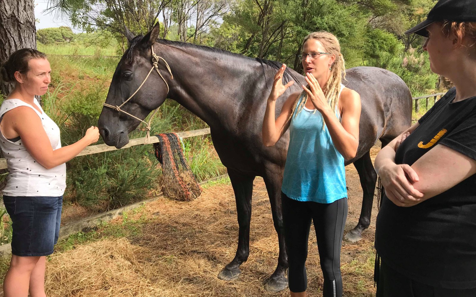 Being with Horses