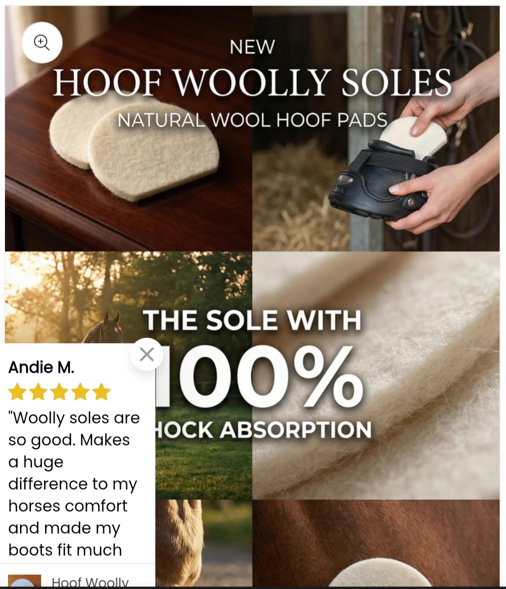Woolly Soles NZ