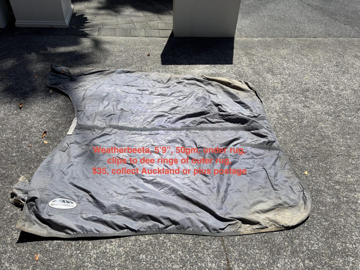 UNDER RUG, 50GM