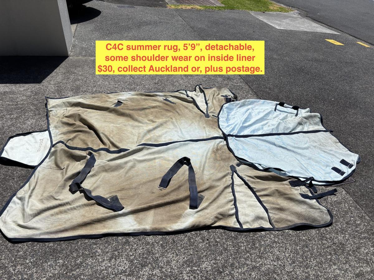 SUMMER RUG, C4C