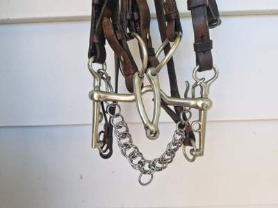 Double Bridle