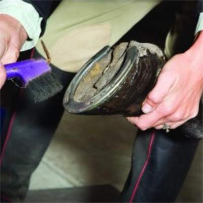 Huuf Magic for Thrush and White Line Treatment - Just spray on!