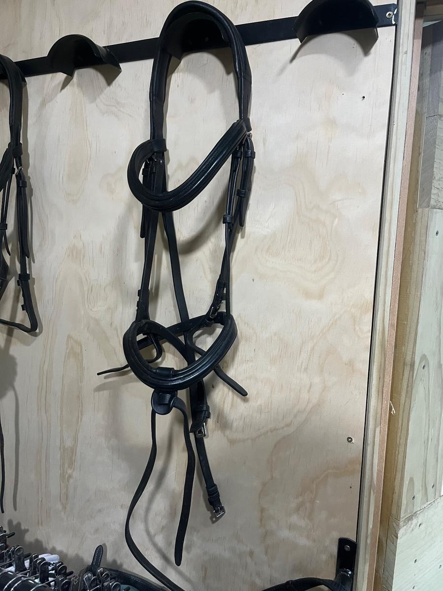Cavallino bridle