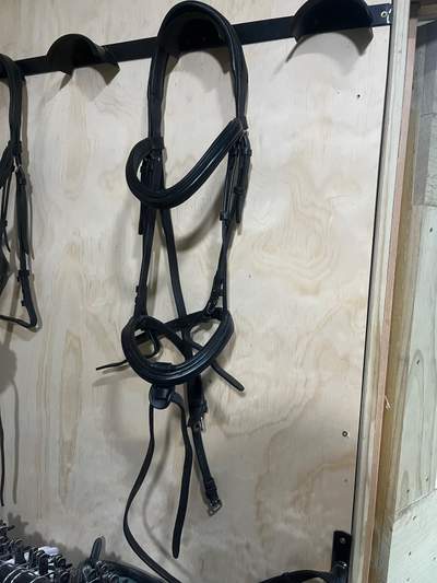 Cavallino bridle