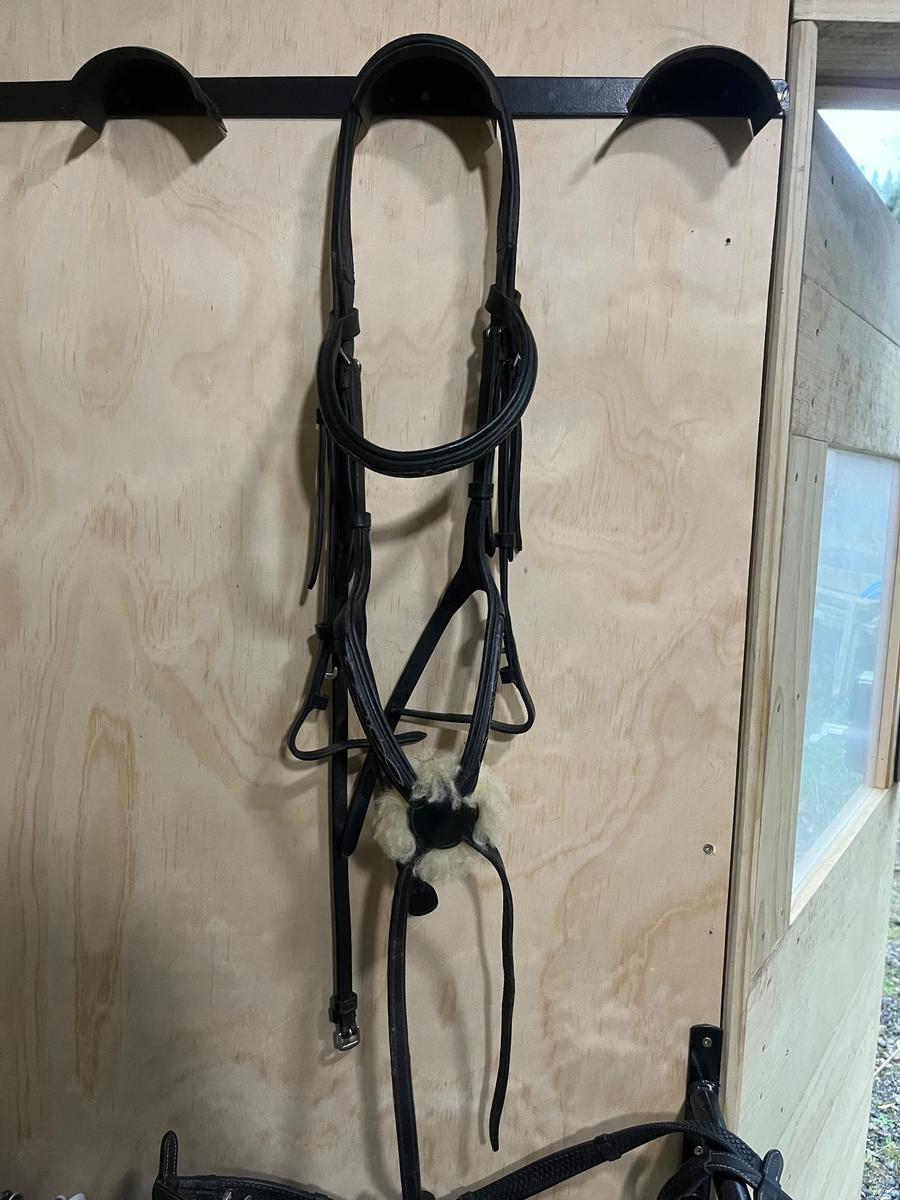 Platinum Grackle Bridle