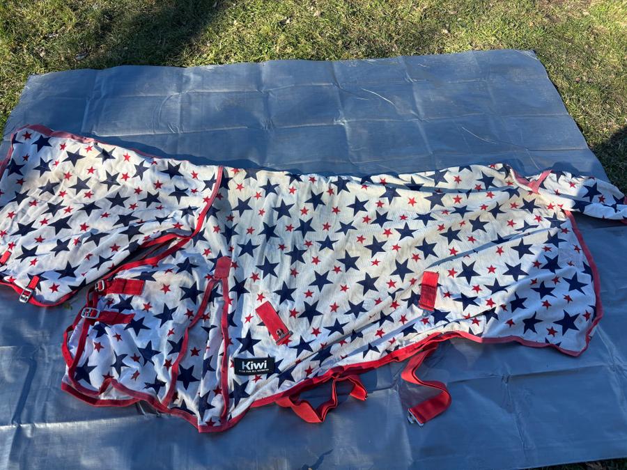 Star Mesh Combo