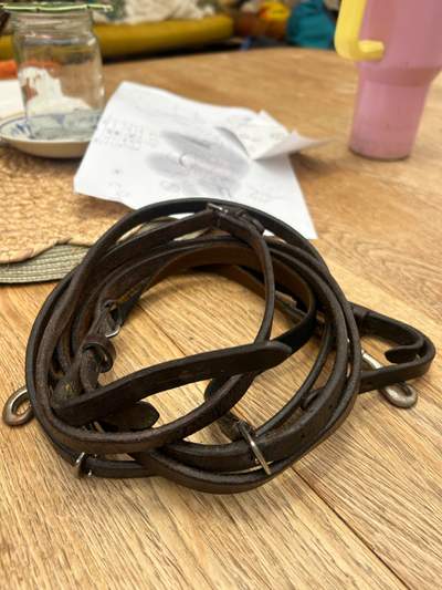 Balance support Reins
