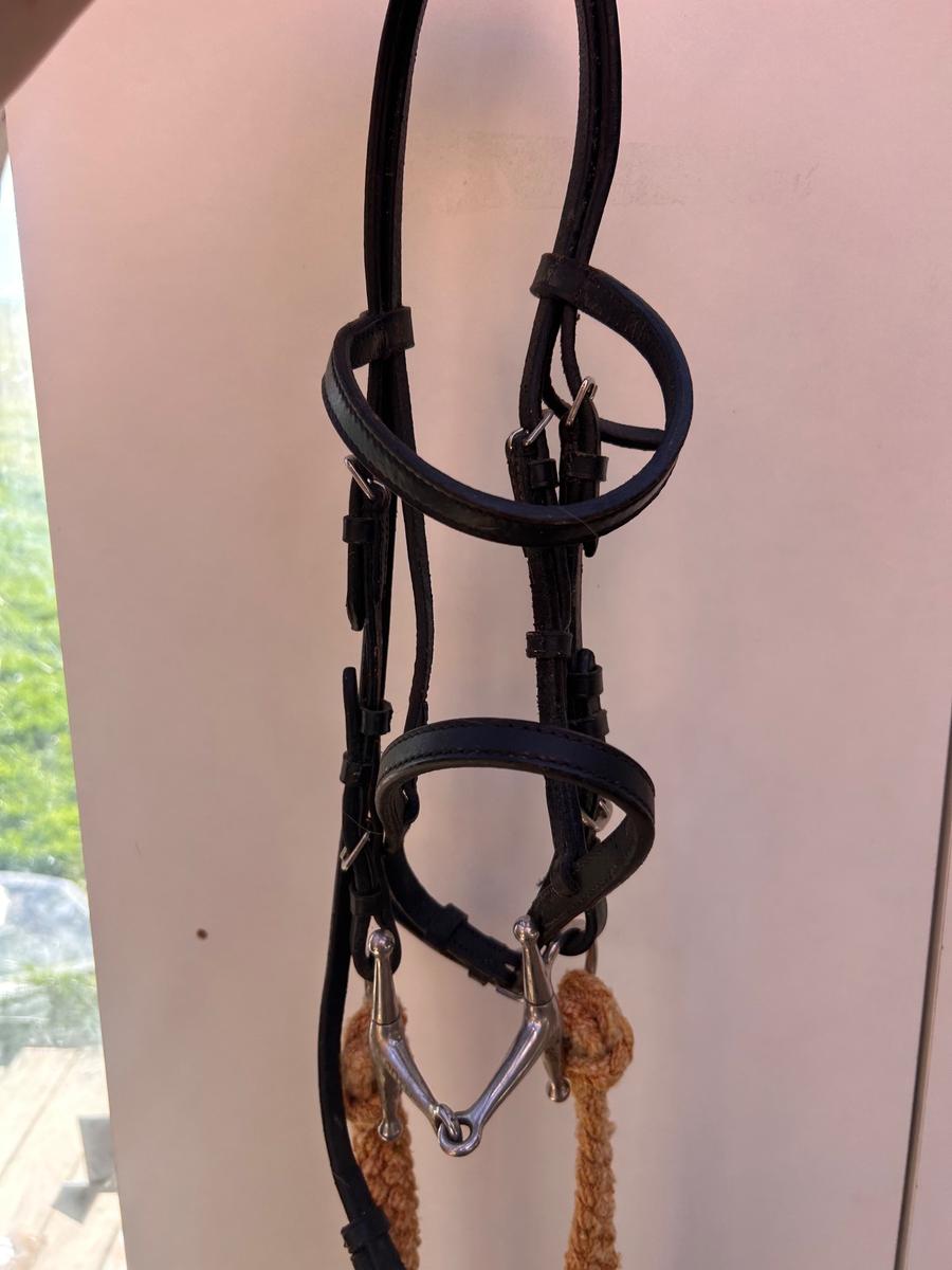 Enzo black leather small pony bridal with webbed kids reins