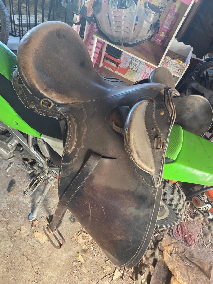Hack saddle