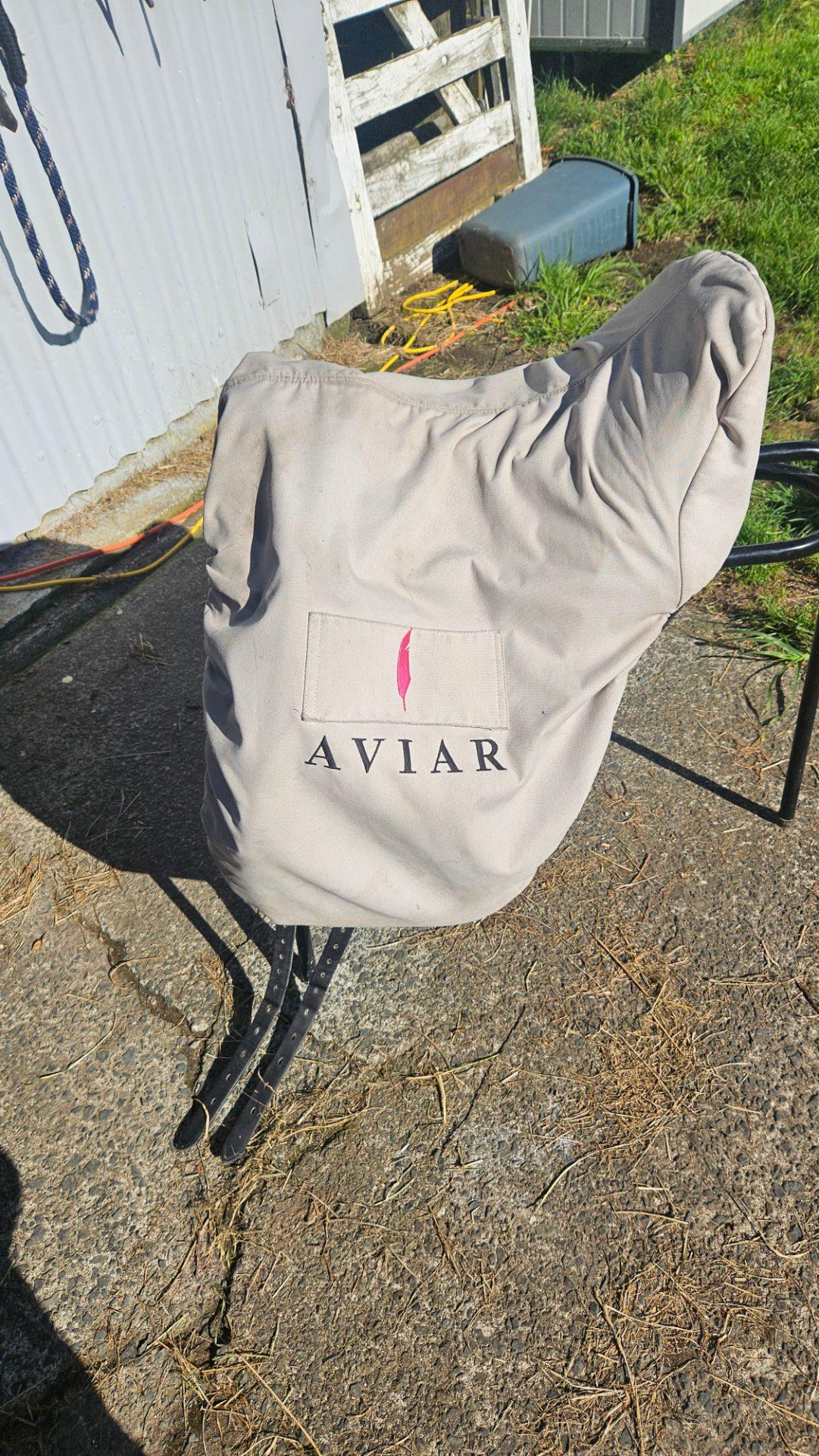 Aviar dressage