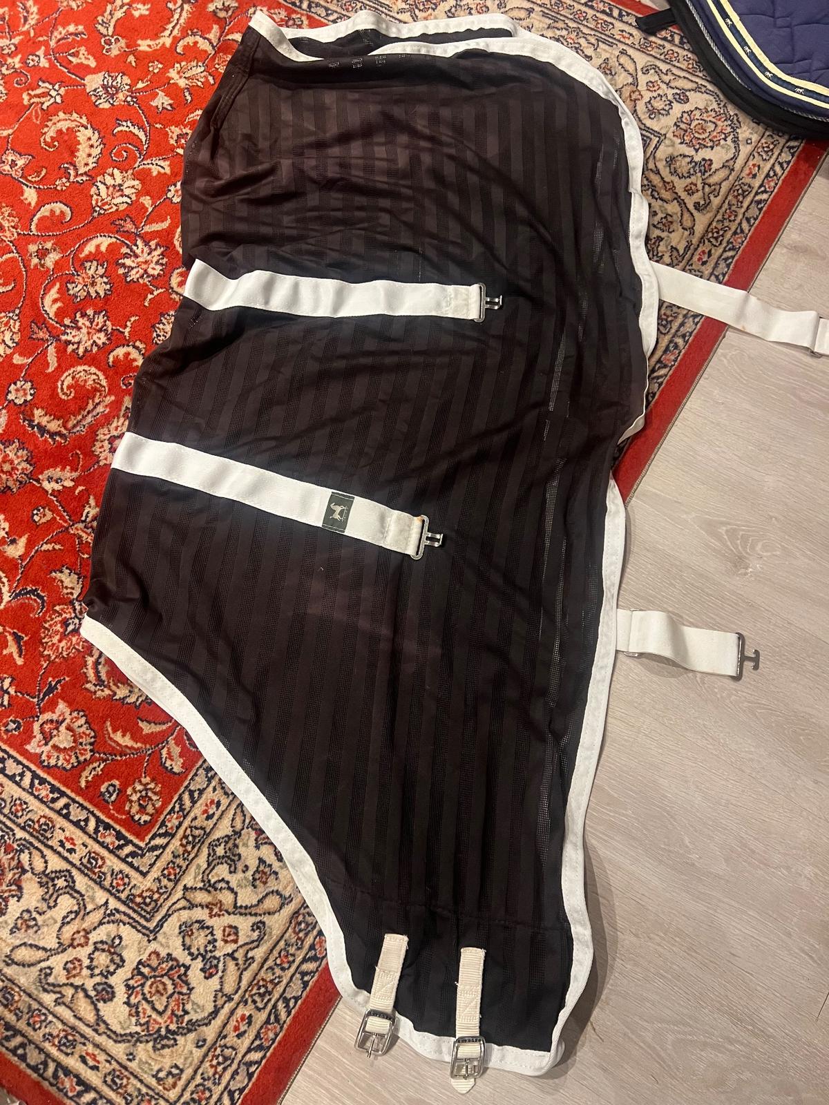 3’0 mesh rug