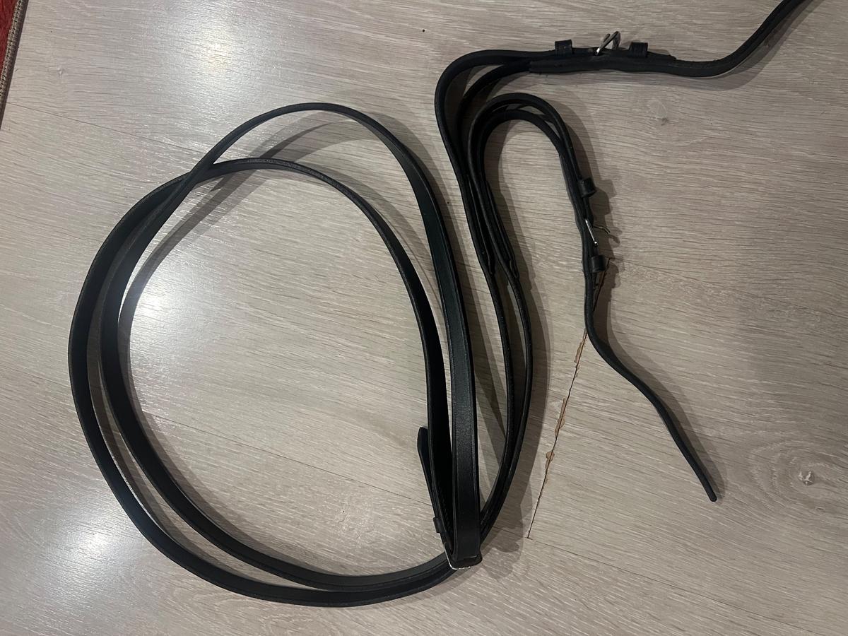 Elastic reins