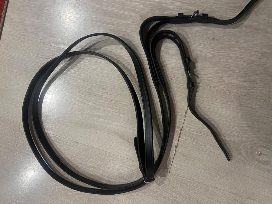 Elastic reins