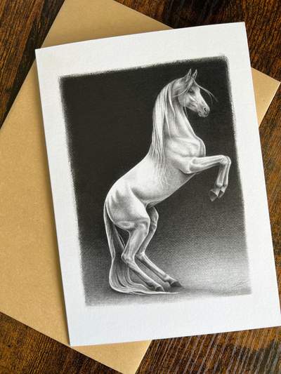 Rearing Horse Pencil Drawing - Art Card