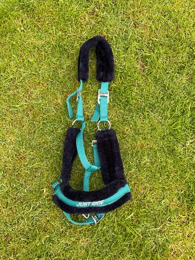 Harry's Horse Full size Halter