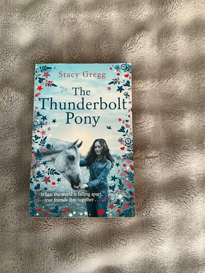 “The Thunderbolt Pony” book by Stacy Gregg