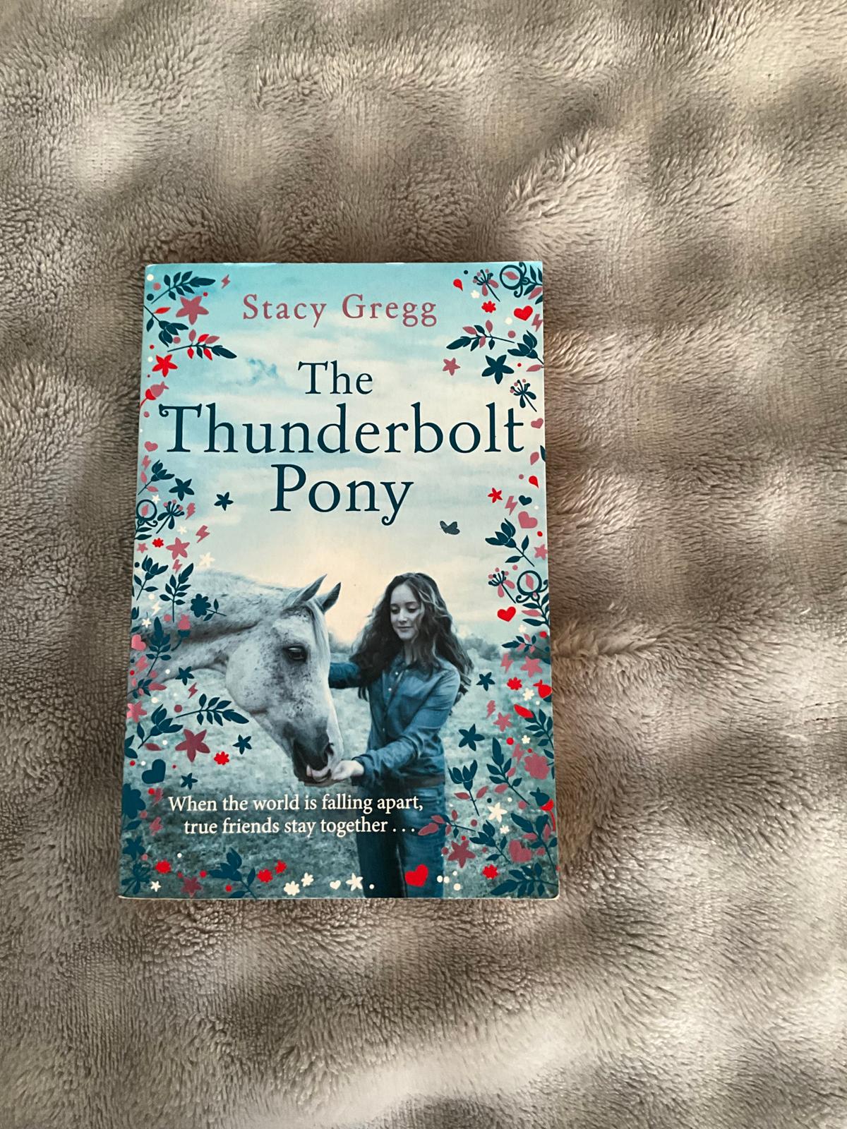 “The Thunderbolt Pony” book by Stacy Gregg