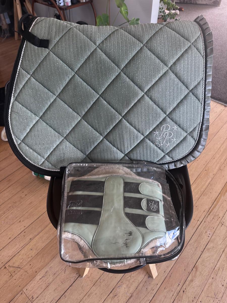Punk ponies saddle pad and brush boots