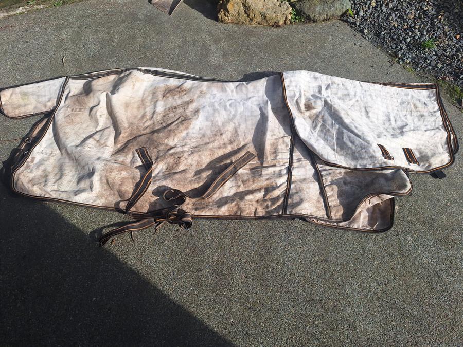 4'9" c4c summer cover