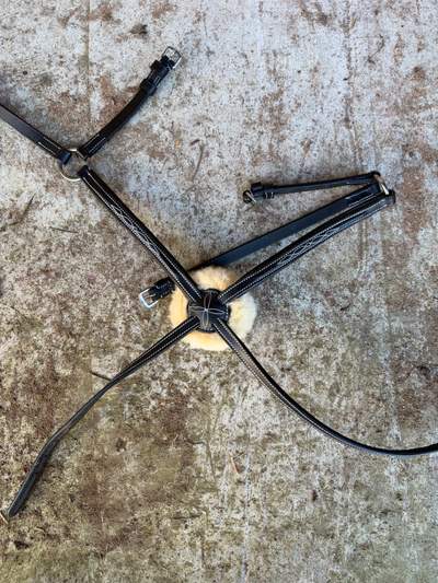Lumiere Grackle Noseband 