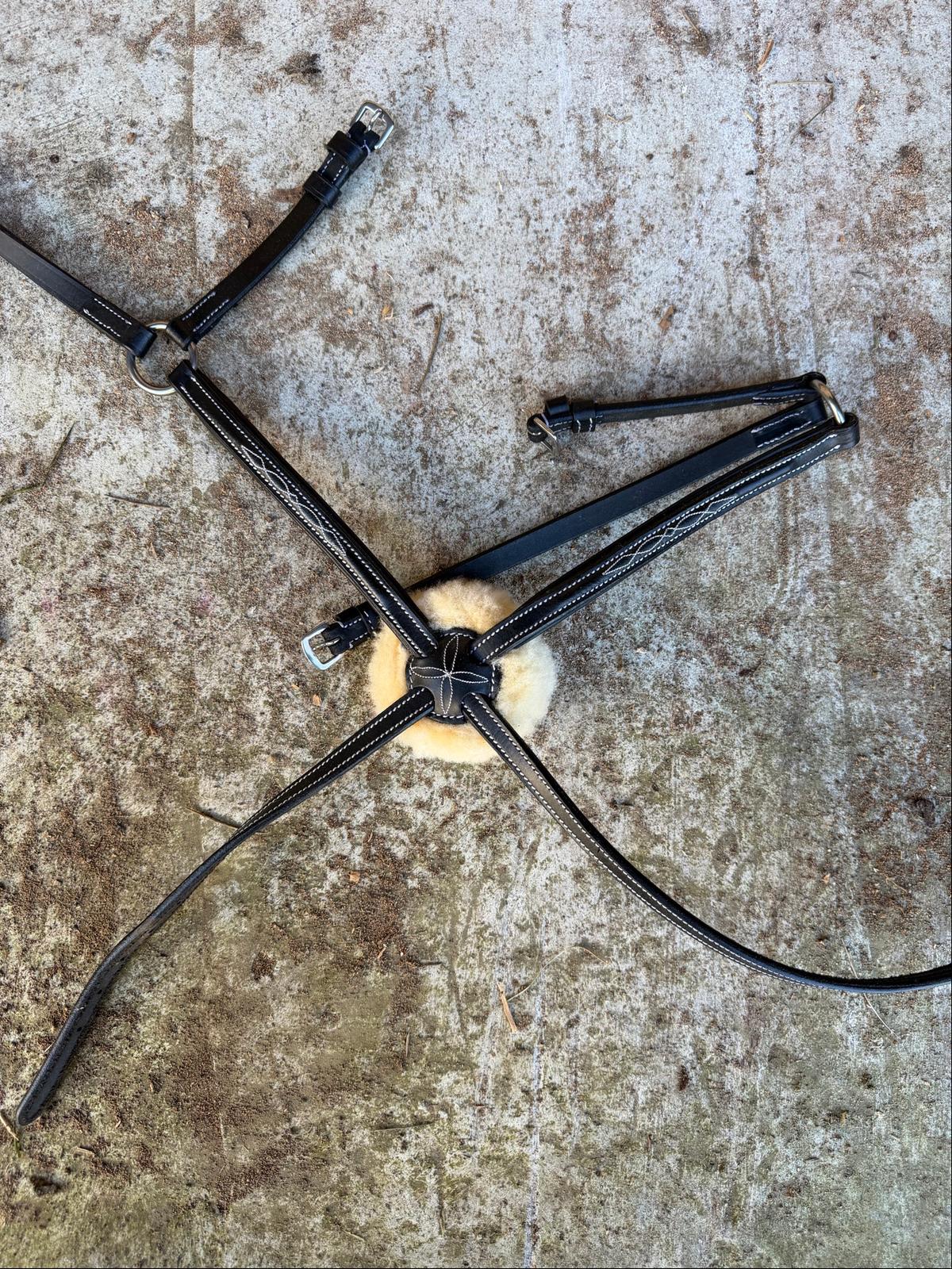 Lumiere Grackle Noseband 