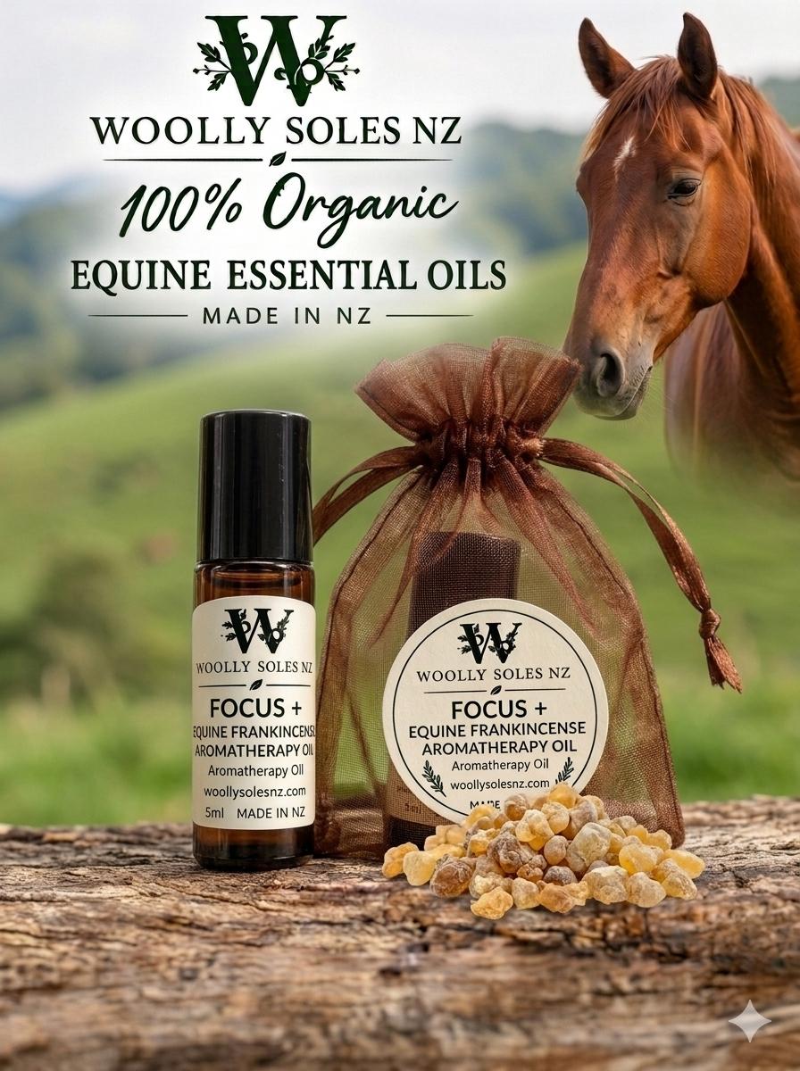 FOCUS + Equine Aromatherapy