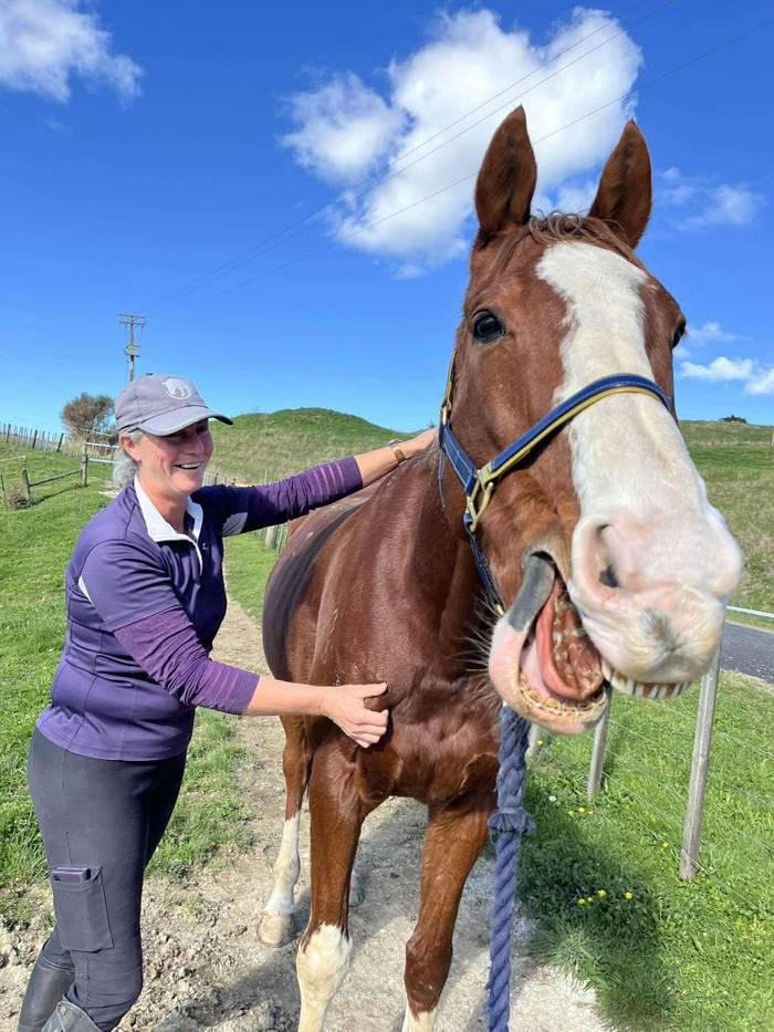 Equisport NZ