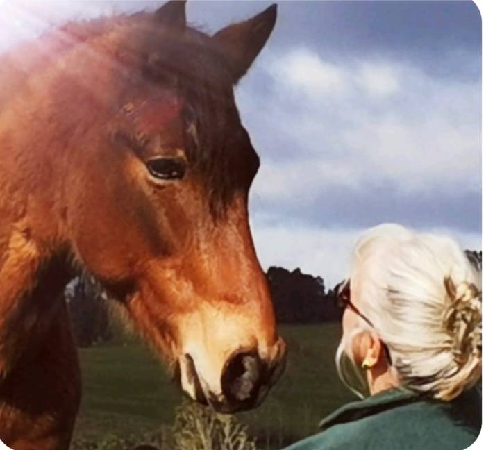 Vital Animal Homeopathy