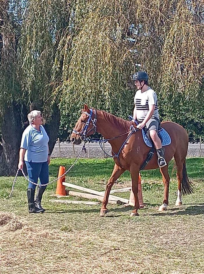 Everyday Equine NZ