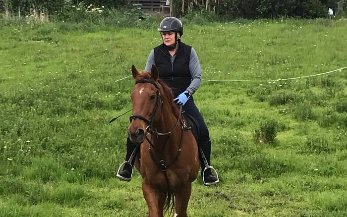 Everyday Equine NZ