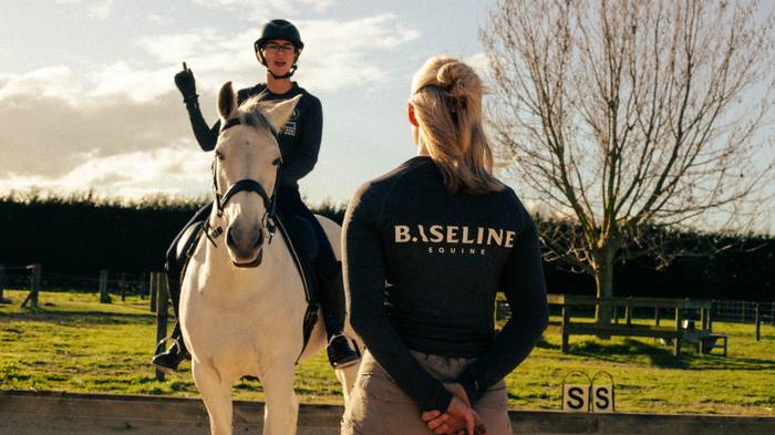 Baseline Equine