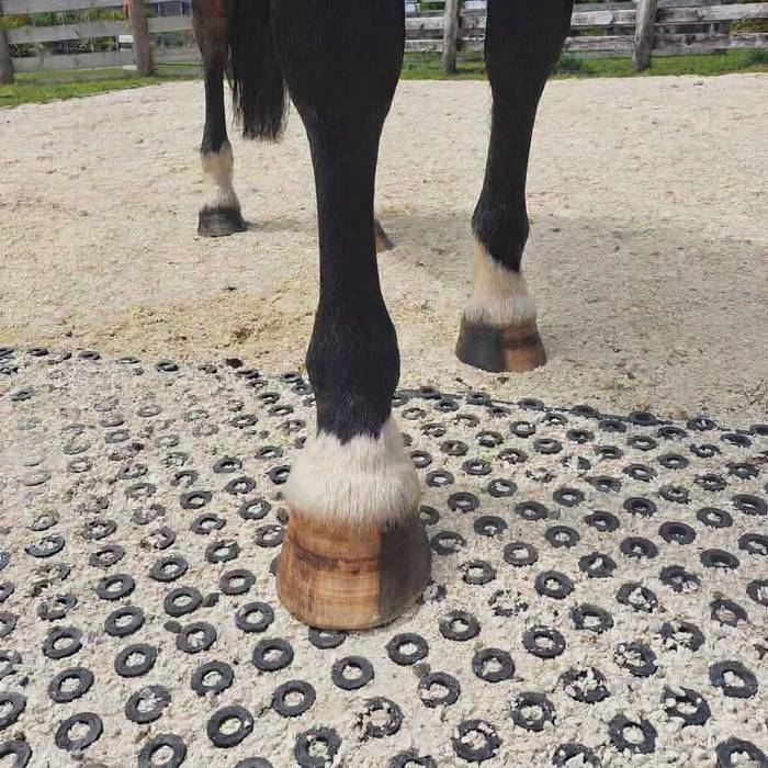 SureHoof NZ