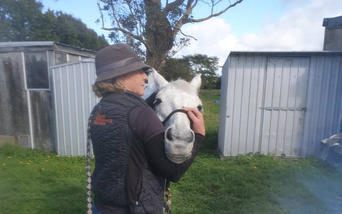 Equine Performance Bodywork