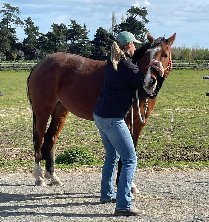 KP Equine NZ