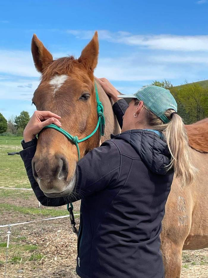 KP Equine NZ