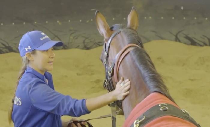 Resolve Equine NZ